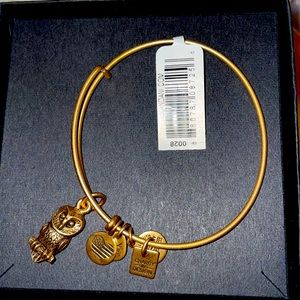 Alex and Ani Ode To The Owl Charm Bangle NWT